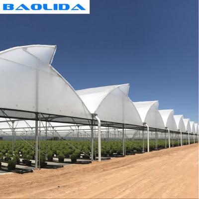 China High Multi Span Strong Plastic Greenhouse Saw Tooth Roof Ventilation for sale