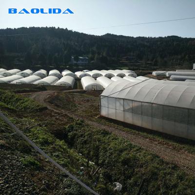 China Clear Plastic Film Polyethylene Steel Frame Greenhouse With Irrgation System for sale