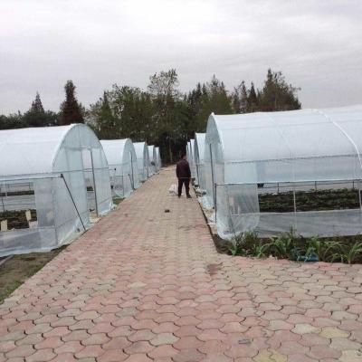 China 4 Mil Tunnel Plastic Greenhouse Cover Reinforced Clear Poly Sheeting for sale