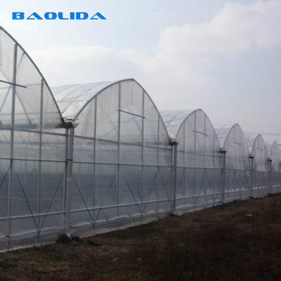 China Multispan Sprinkler Irrigation 9m Agricultural Greenhouse Multi Span Greenhouse for sale