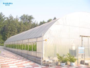 China Plástico claro da estufa dos vegetais 60m do equipamento agrícola vário à venda
