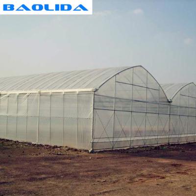 China Large Steel Frame High Tunnel Double Film Double Arch 4.5m Multi Span Greenhouse for sale