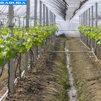 中国 温室の滴りテープ システムは16mmの管の温室の用水系統を貯蔵する 販売のため