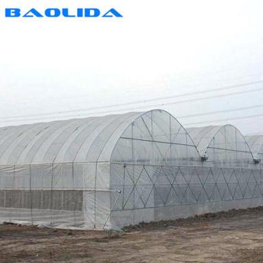 China Hot Dip Galvanized Steel Wind Resistance Sides Ventilation Multi Span Greenhouse for sale