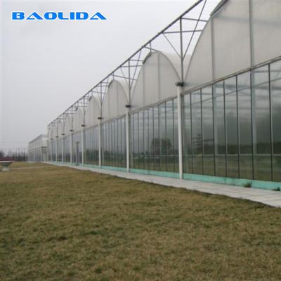China Flowers Planting Agriculture Plastic Film Automatic 9m Multi Span Greenhouse for sale