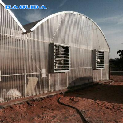 China Sides Ventilation Commercial Polycarbonate Greenhouse Flame Retardant for sale