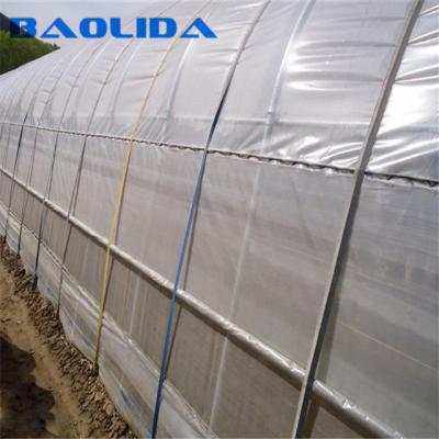 China Hot-dip Galvanized Steel Pipe Structure Polythene Tunnel Plastic Greenhouse For Tomato for sale