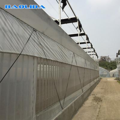 China Cooling System Plastic Film200 Micron Reinforced Plastic Sheeting Greenhouse Multi Span Greenhouse for sale