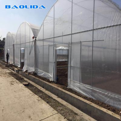 China Agricultural High Tunnel Gutters Air Circulation Tunnel Growing 8m Multi Span Greenhouse for sale