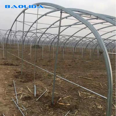 China Double Arches Double Film Greenhouse 10m Width Tunnel Plastic Greenhouse for sale