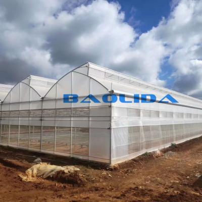 China Sawtooth Type Tropic Friendly Polyethylene Film Greenhouse Multi Span Greenhouse for sale
