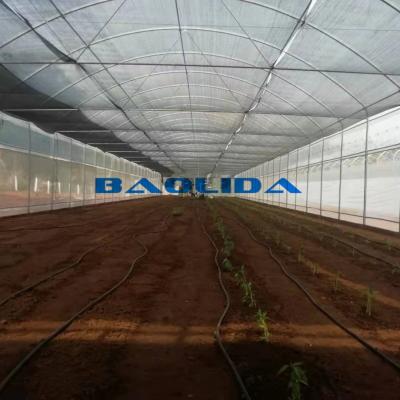China Clear UV Treated Film Anti Rust Metal Structure Tunnel Greenhouse for sale