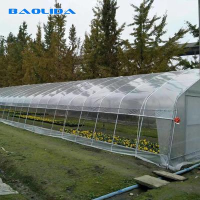 China 8m 9m Width Single Span Vertical Tunnel Plastic Greenhouse For Plants Growing for sale