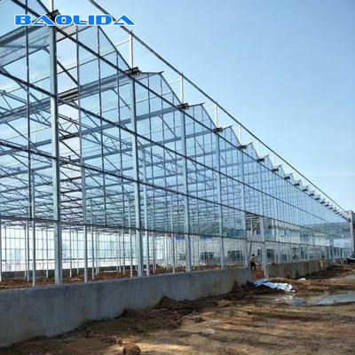 China Multi Span Galvanized Steel Frame Glass Covering Venlo Glass Greenhouse for sale