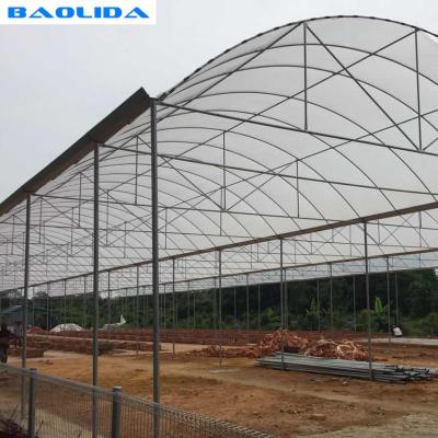 China Steel Structure Polythene Tunnel 4 Mil Plastic Sheeting Greenhouse for sale