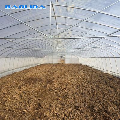 China High Tunnel 150 Micron PE Film Single Span Greenhouse For Agricultural Project for sale