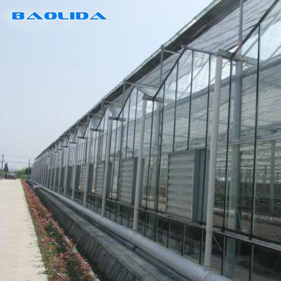 China Tipo multi prefabricado resistente invernadero de Venlo del invernadero del palmo del viento en venta