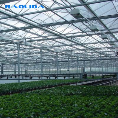 中国 トマトの植わることのための農業の多スパンのフェンローのガラス温室 販売のため