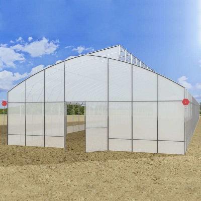 China Anti Dripping Plastic Film Greenhouse 10m Width For Tomato Planting for sale