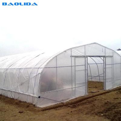 China High Tunnel UV Resistant 100 150 200mic PE Plastic Sheeting Single-span Greenhouse for sale