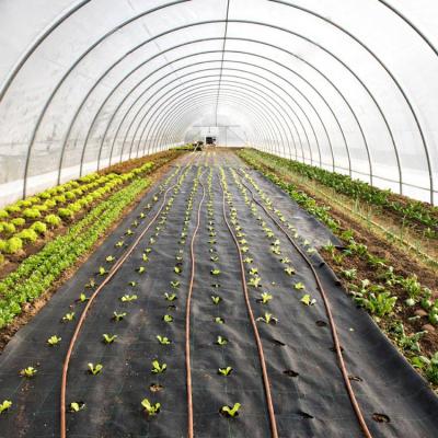 China Commercial Greenhouses Plastic Sheet Greenhouse Film For Plant Growing for sale
