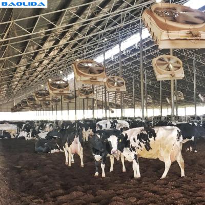 China Invernadero caliente plástico agrícola usado granja avícola proteger contra llover en venta