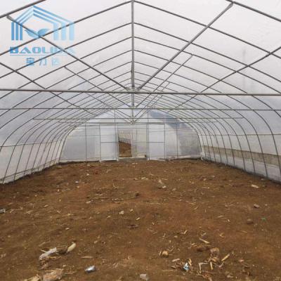 China Snow Resistant Large Pointed Roof Tunnel Plastic Greenhouse No Soldering for sale