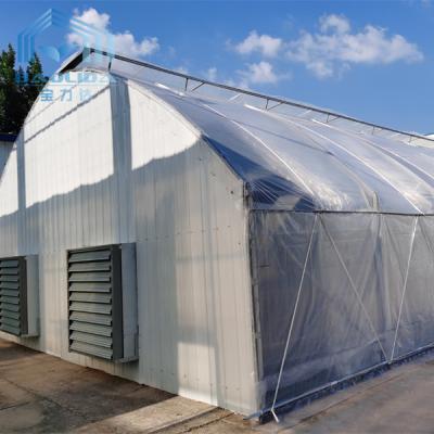 China Black White Tunnel Single Span Greenhouse 150 Micron Film Covered No Welding for sale
