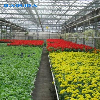 China Multi Span Glass Venlo Type Greenhouse Hot Galvanized 6m 7m 8m Length for sale