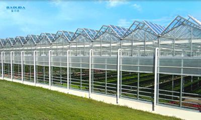 China Metal Frame Polytunnel Glass Venlo Type Greenhouse Stabilized 60x90m for sale