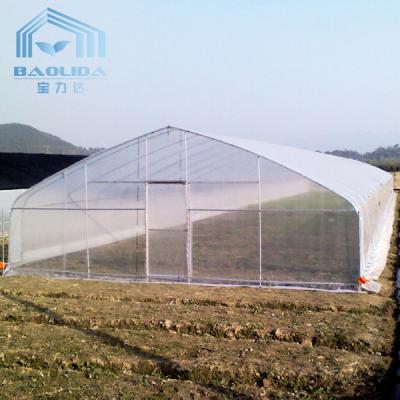 China 200 Micro PE Film Tunnel Plastic Single Span Greenhouse For Agriculture Plants Growing for sale