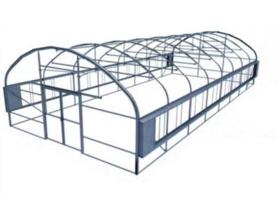 China Galvanized PE Film Single Span Greenhouse For Vegetables 9x30m for sale