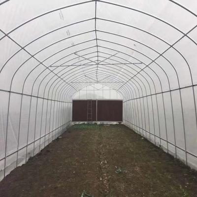 China Hot Dip Galvanized Area Ecological Agricultural Greenhouse Plastic Film Greenhouse for sale