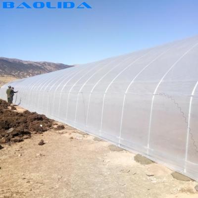 China Invernadero plástico de la fresa del túnel del solo palmo con la película de 150 micrones en venta