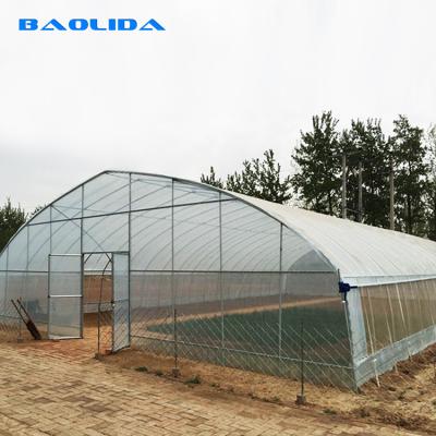 China Single Span Vegetable Tunnel Plastic Grow House Agricultural Galvanized for sale