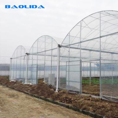 China Inner Shading System Multi Arch High Tunnel Greenhouse Clear Multi Span Greenhouse for sale
