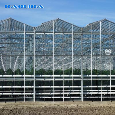 China Sides And Top Ventilation System Multispan Glass Covered Venlo Type Greenhouse for sale