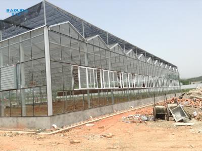 China Agricultural Tempered Glass Venlo Type Greenhouse With 48mm Column for sale