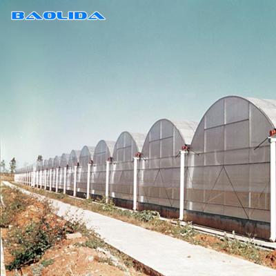 China Hot Dip Galvanized Steel Plastic Multispan Greenhouse For Four Seasons Planting for sale