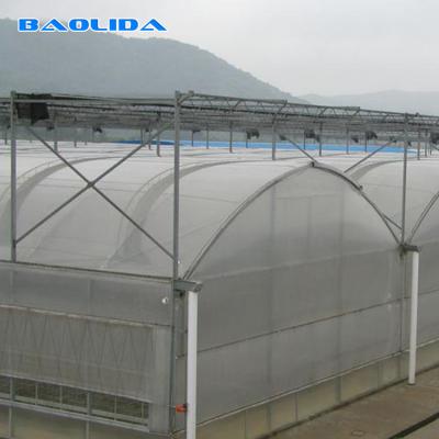 China Turnkey Installed Commercial Hydroponic Plastic Film Greenhouses Multi Span for sale