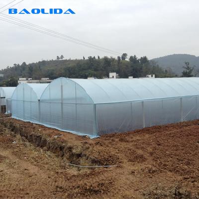 China Baolida Multi Span Plastic Film Greenhouses With Hot Dipped Galvanized Frame for sale