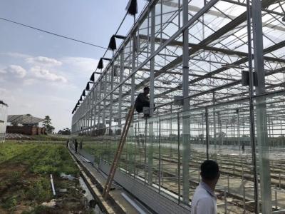 Chine Serre chaude agricole/industrielle de jardin pour des légumes/champignons/fleurs à vendre