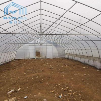 China Single-span PE Covered Tunnel Plastic Greenhouse For Strawberry Grape Raspberry for sale