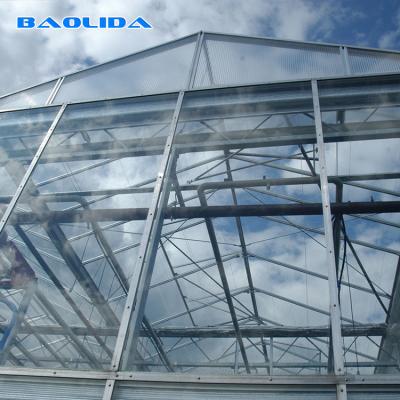 中国 Gaivalnizedの鋼管のガラス多スパンの温室のフェンローの頑丈なタイプ温室 販売のため