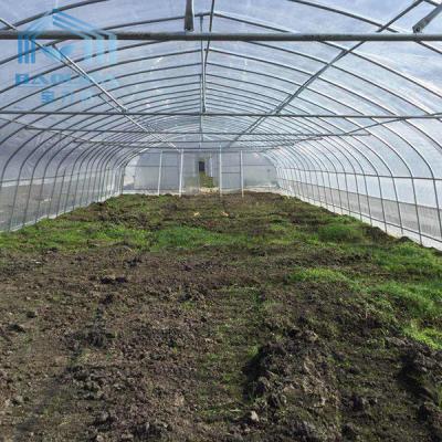 China Philippines Prefabricated Kit single-span Strawberry Greenhouse Tunnel Plastic Greenhouse for sale