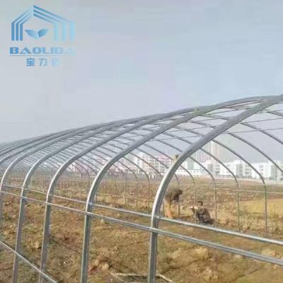 China Palmo galvanizado invernadero vegetal de la película del túnel del polietileno solo en venta