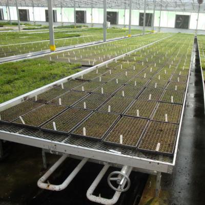 China Modern Aluminum Greenhouse Ebb Flow Table With Drain Tray Valve for sale
