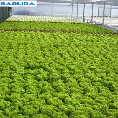 China A Type Tower Hydroponics System For Agriculture Greenhouse for sale