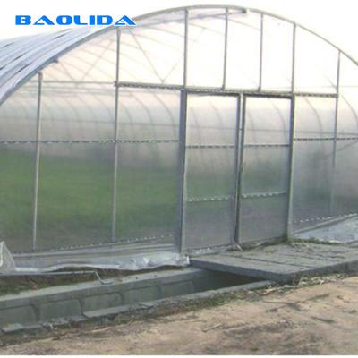 China Invernadero plástico del solo túnel del palmo alto con el sistema de ventilación del tejado en venta