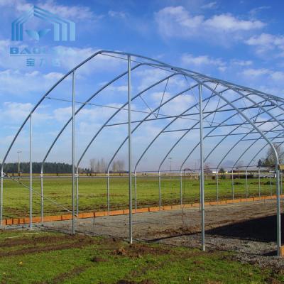 China Side Ventilation Hot Galvanized Steel Pipe Tunnel Single Span Greenhouse for sale